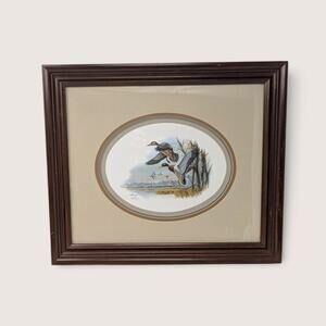 Vintage Framed Don Balke Duck Lithograph Signed Wildlife Art Print 17.5 x 15